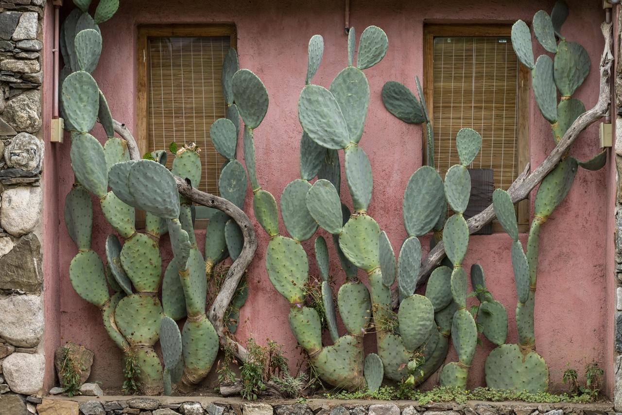 La Teresita Posada Hotel San Javier  Bagian luar foto